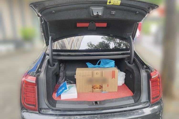 Used Hongqi H9 2020 2.0T Smart Connect Flagship Edition