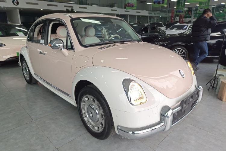 Used ORA Ballet Cat 2022 401 km Nutcracker Edition
