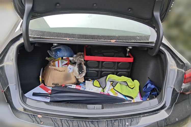 Used Buick Regal 2019 20T Elite Version China VI Standard
