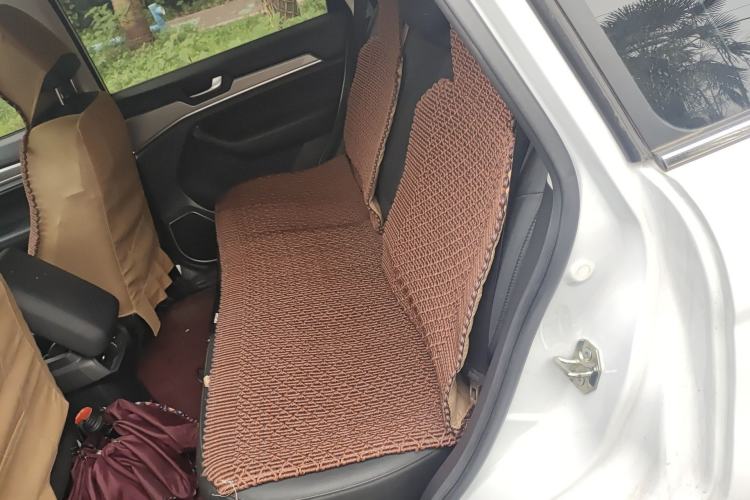 Used Haval H6 2018 Red-Label Sport Edition 1.5T Automatic Two-Wheel Drive Elite Model Left Rear Seat