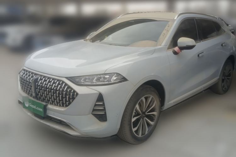 Used Wey Mocha 2021 2.0T Two-Wheel-Drive Premium Edition