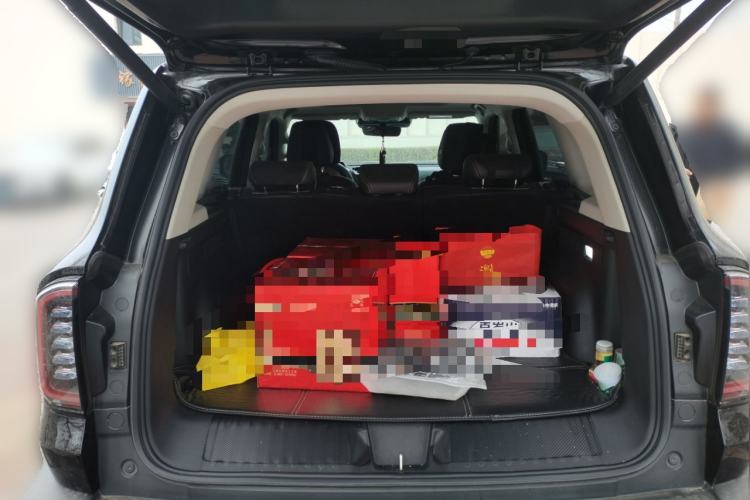 Used Haval DARGO 2024 2.0T DCT Chinese Rural Dog Edition
