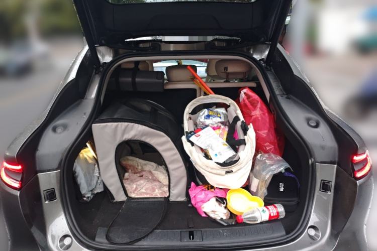 Used IM LS6 2023 Max Extended-Range Version
