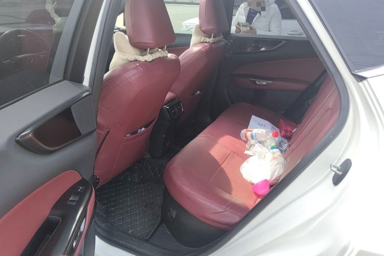 Used Lexus NX New Energy 2022 400h+ Comfort Edition Left Rear Seat