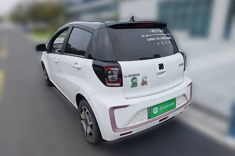 Used SOL E10X 2022 Flower Fairy Style Baby's Breath