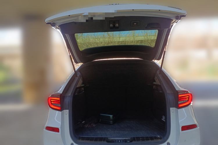 Used Honda Avancier 2020 370TURBO Four-Wheel Drive Premium Edition