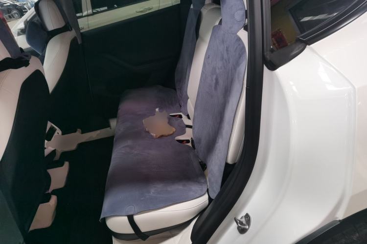 Used Tesla Model Y 2021 Long-Range All-Wheel-Drive Version Left Rear Seat