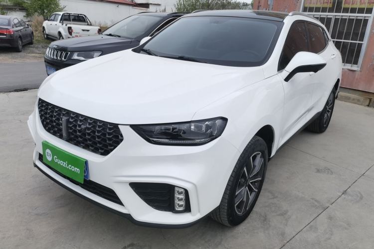 Used Wey VV5 2020 1.5T Two-Wheel Drive Color Pioneer