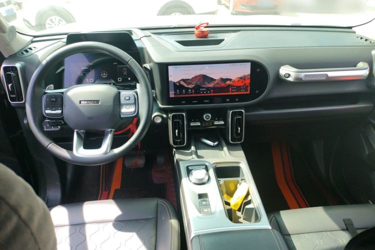 Used Haval DARGO 2024 2.0T DCT Chinese Rural Dog Edition
