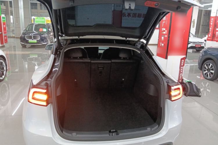 Used Tesla Model Y 2021 Standard Range Rear-Wheel Drive Version