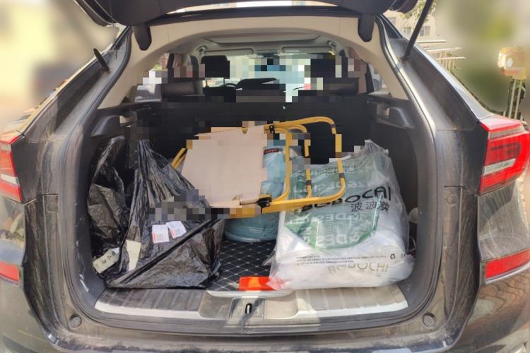 Used Honda Avancier 2020 370TURBO Four-Wheel Drive Premium Edition
