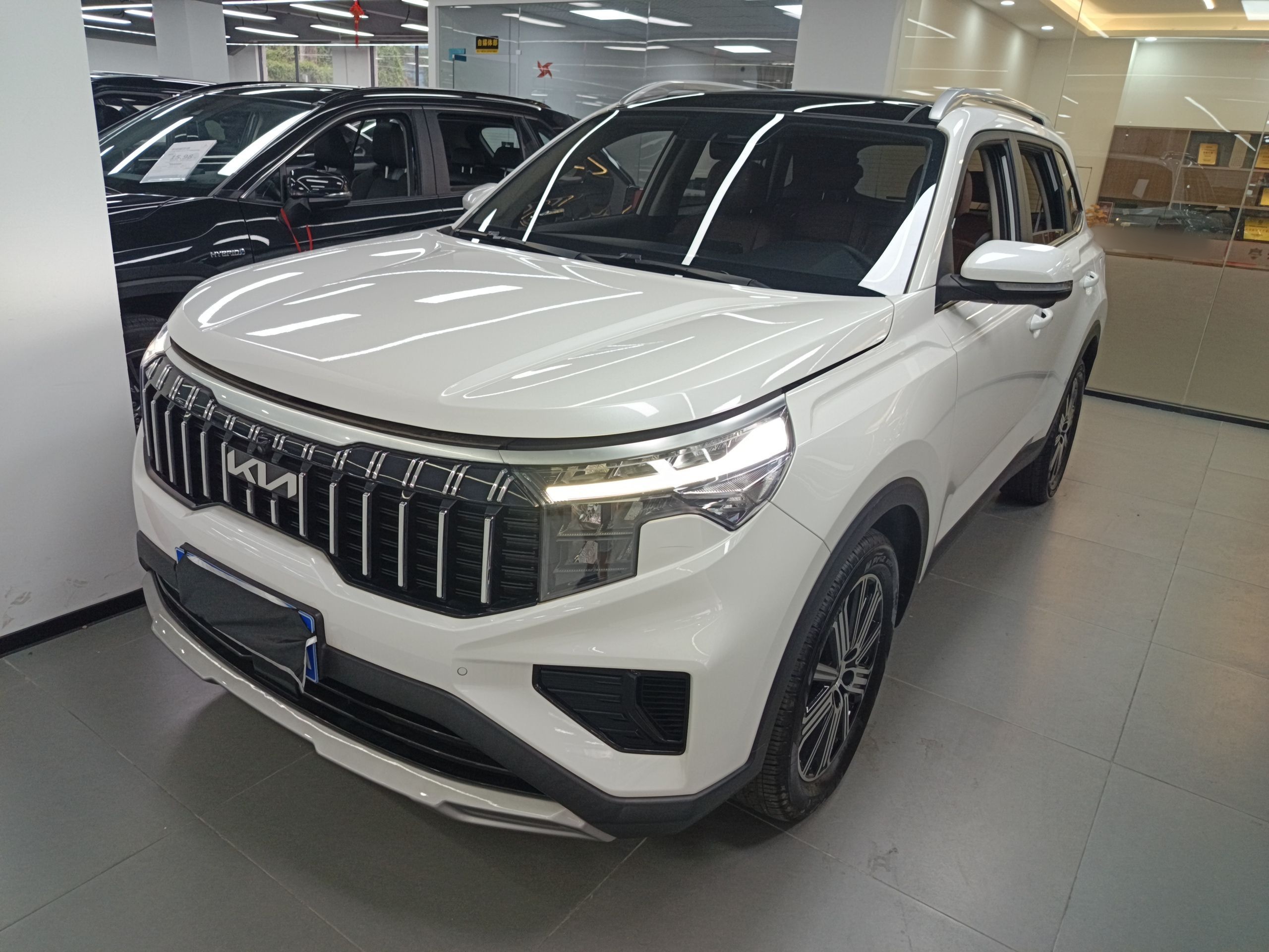 Parte inferior delantera