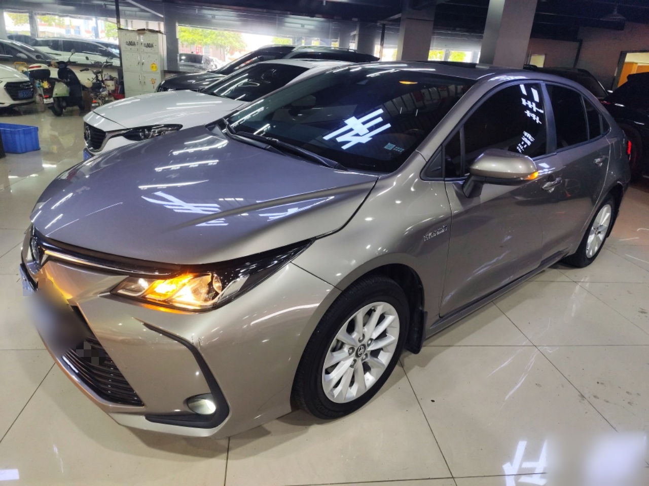 Parte inferior delantera