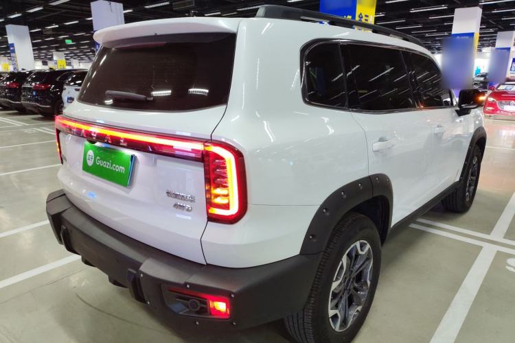 Used Haval DARGO 2024 2.0T DCT Chinese Rural Dog Edition
