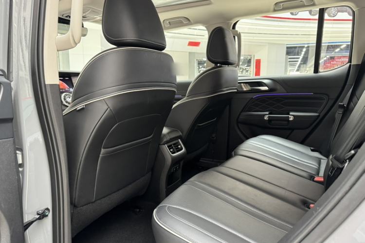 Used Tank 300 2024 2.0T Conqueror