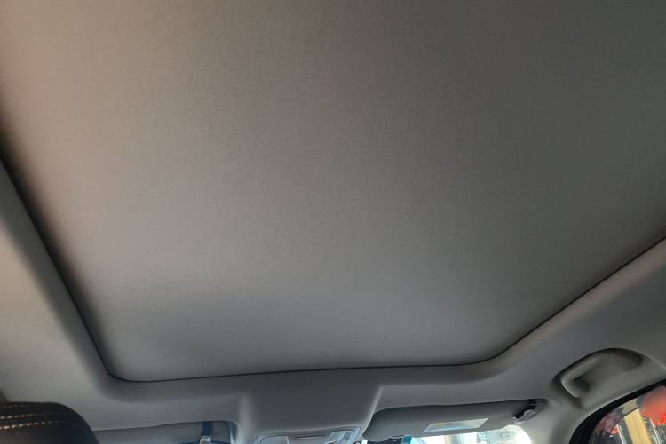 Used Haval DARGO 2021 2.0T DCT 4x4 Chinese Rural Dog Edition Headliner