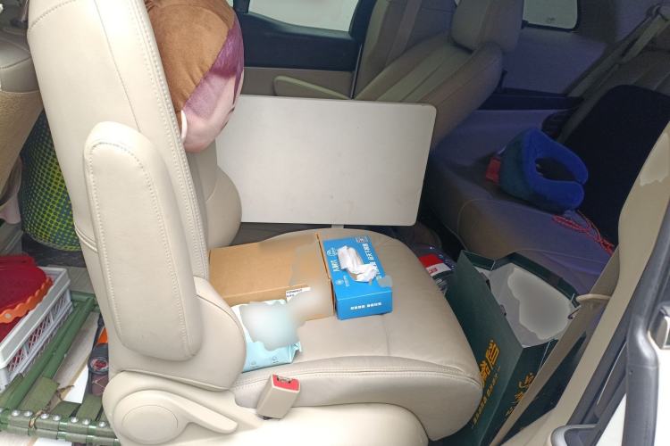 Used Buick GL8 2018 28T Luxury Model China VI Standard Left Rear Seat