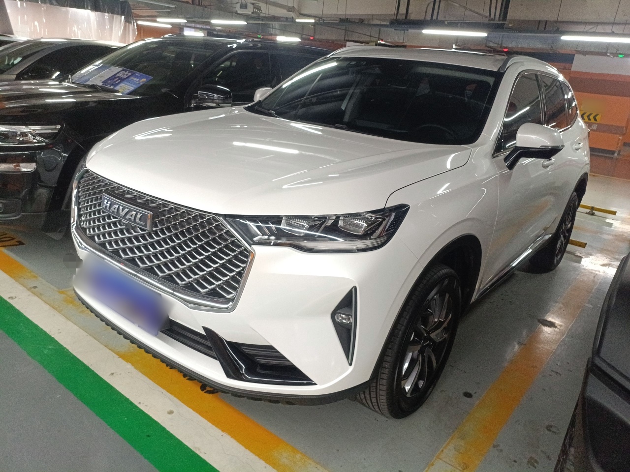 Parte inferior delantera