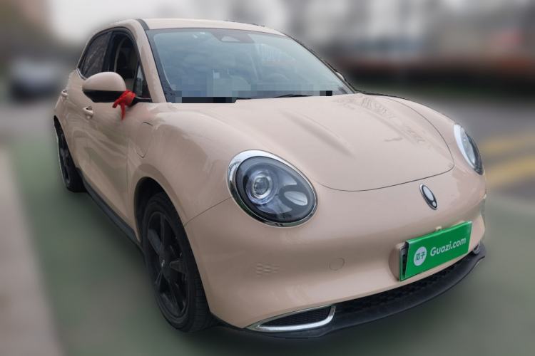 Used ORA Good Cat 2023 401 km Standard Range Luxury Version Ternary Lithium
