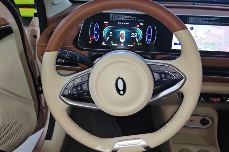 Used ORA Good Cat 2023 401 km Standard Range Luxury Version Ternary Lithium
