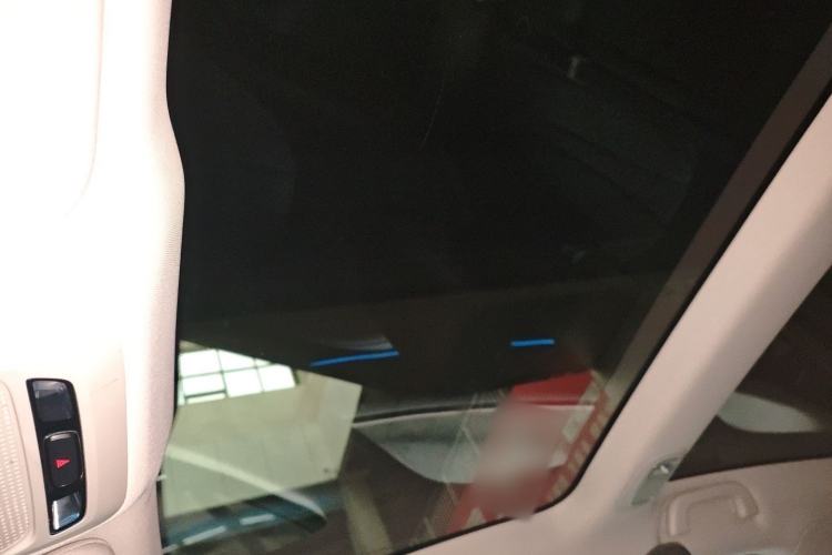 Used XPeng P7 2022 480E Headliner