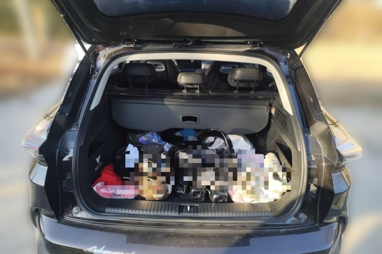 Used NETA U 2021 Pro 400 Cruiser Edition
