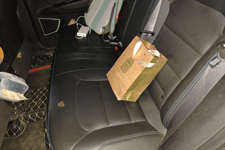 Used Geely Auto Emgrand GSe 2020 500 LingShang Model Left Rear Seat