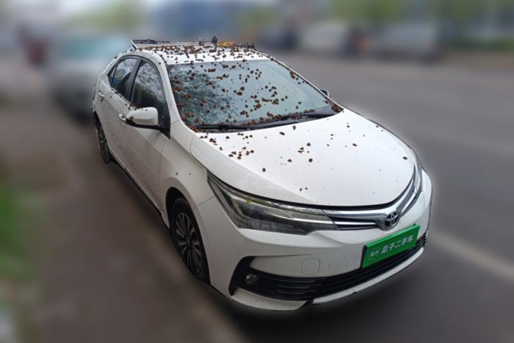 Used Toyota Corolla 2017 Revised Version 1.2T S-CVT GL-i Front Right 45 Deg