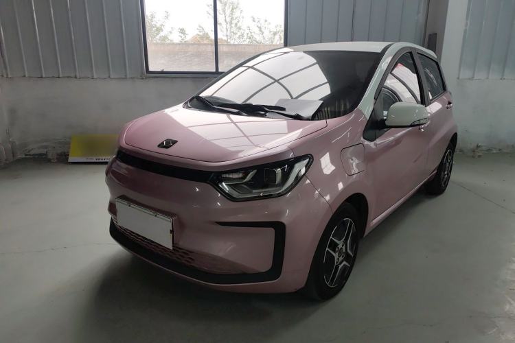 Used SOL E10X 2022 Flower Fairy Design Four-Leaf Clover