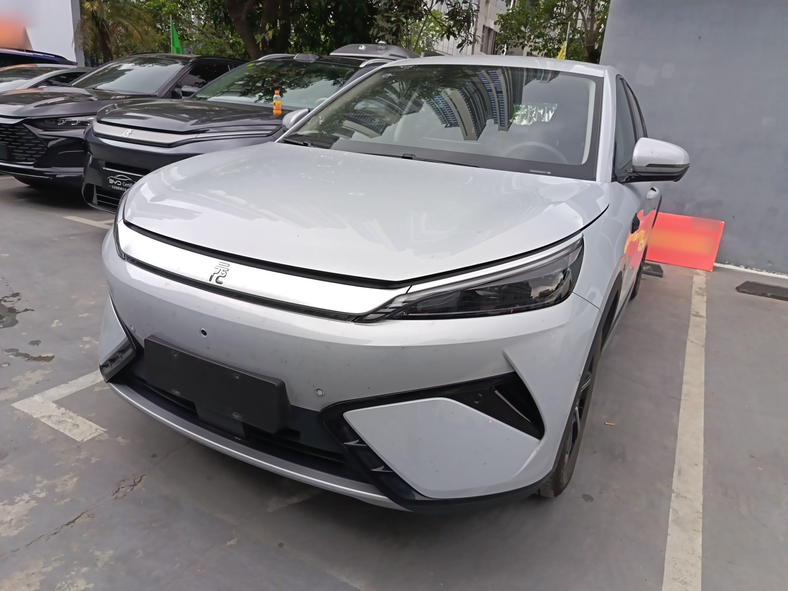 Parte inferior delantera