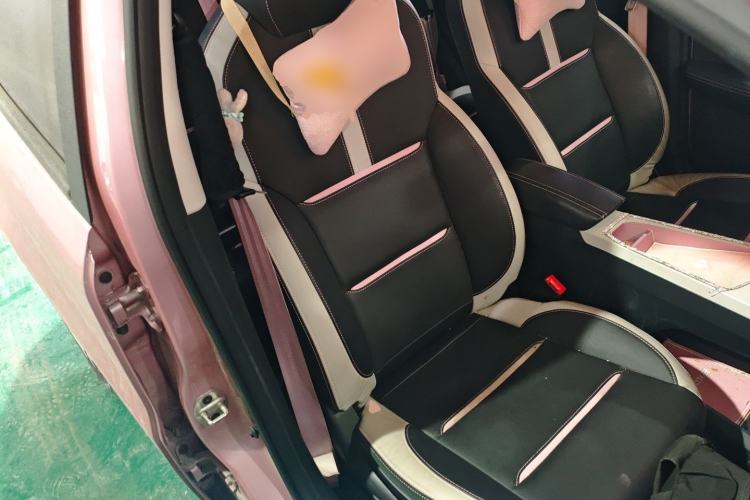 Used SOL E10X 2022 Flower Fairy Style Baby's Breath