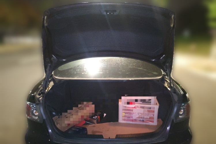 Used Mazda 6 2015 2.0L Automatic Fashion Edition Trunk