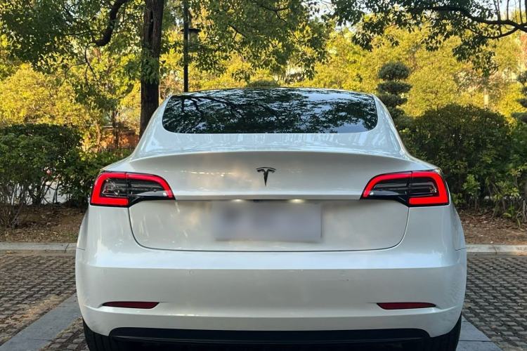 Used Tesla Model 3 2019 Standard Range Rear-Drive Upgraded Version