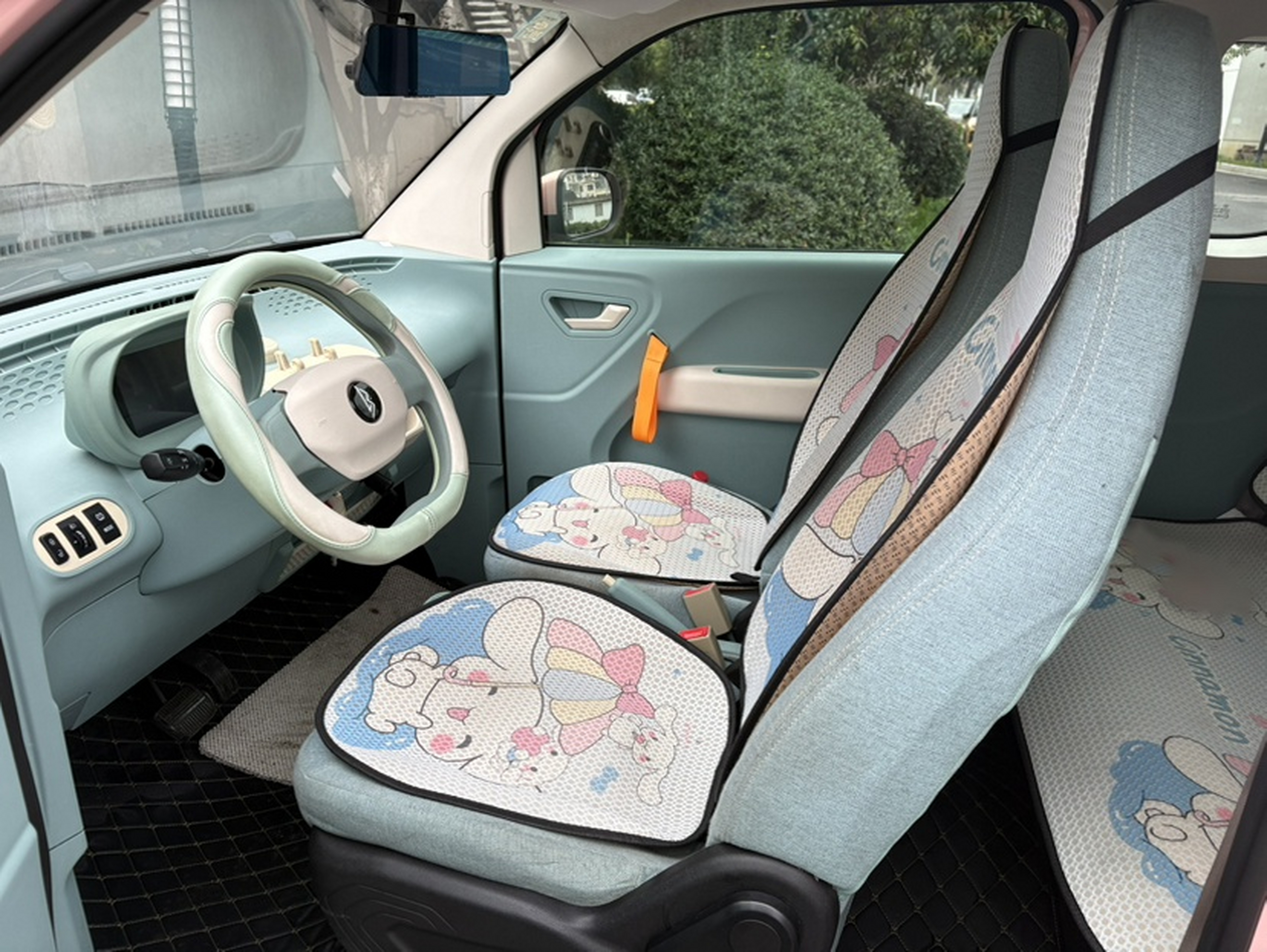 Interior delantero