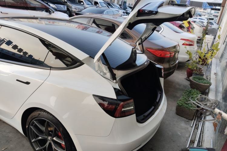 Used Tesla Model 3 2021 Performance High-Performance All-Wheel-Drive Version