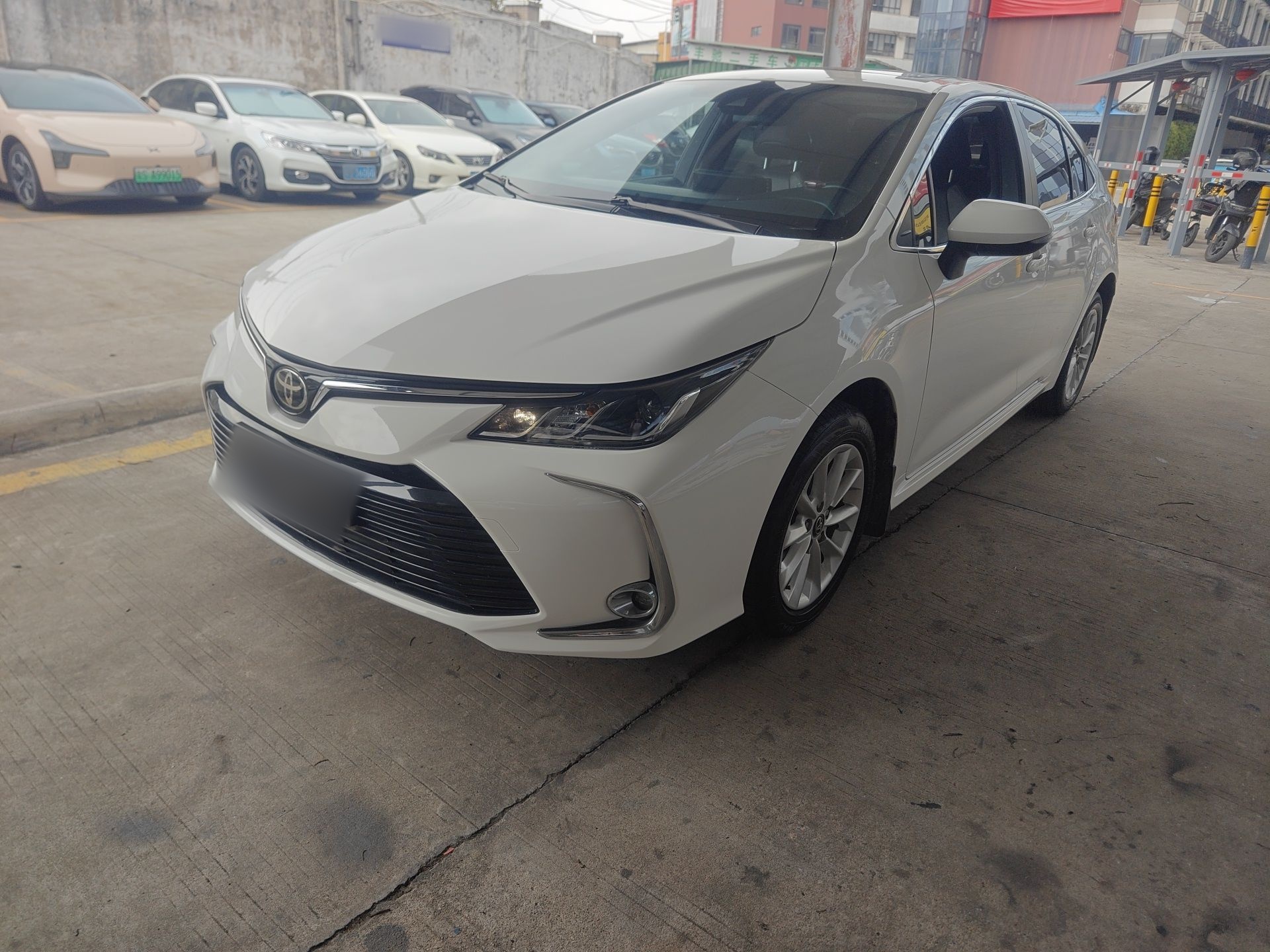 تحت مقدمة السيارة