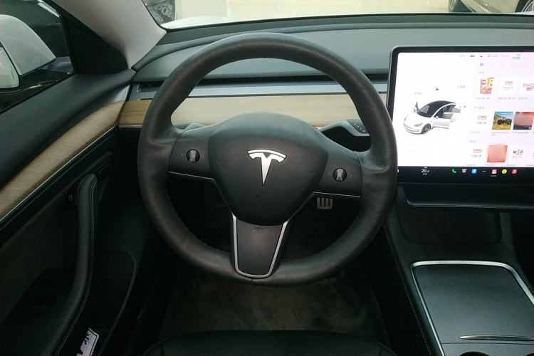 Used Tesla Model 3 2021 Performance High-Performance All-Wheel-Drive Version