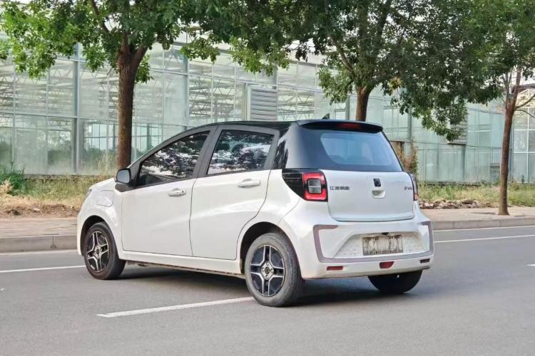 Used SOL E10X 2022 Flower Fairy Design Four-Leaf Clover