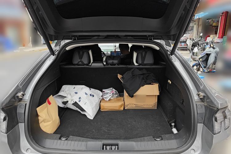 Used Ford Mustang Mach-E 2021 AION Y Plus Rear-Drive Luxury Edition (Long Range)