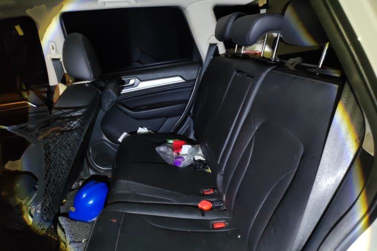 Used Haval H6 2018 Blue Label Sport Edition 1.5T Manual Two-Wheel Drive Elite Model Left Rear Seat