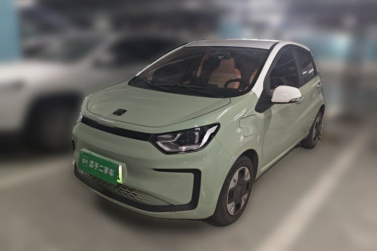 Used SOL E10X 2022 Flower Fairy Design Four-Leaf Clover