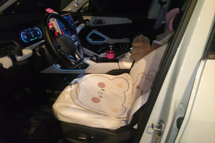 Used BYD Yuan UP 2024 401KM Beyond Edition Left Front Seat