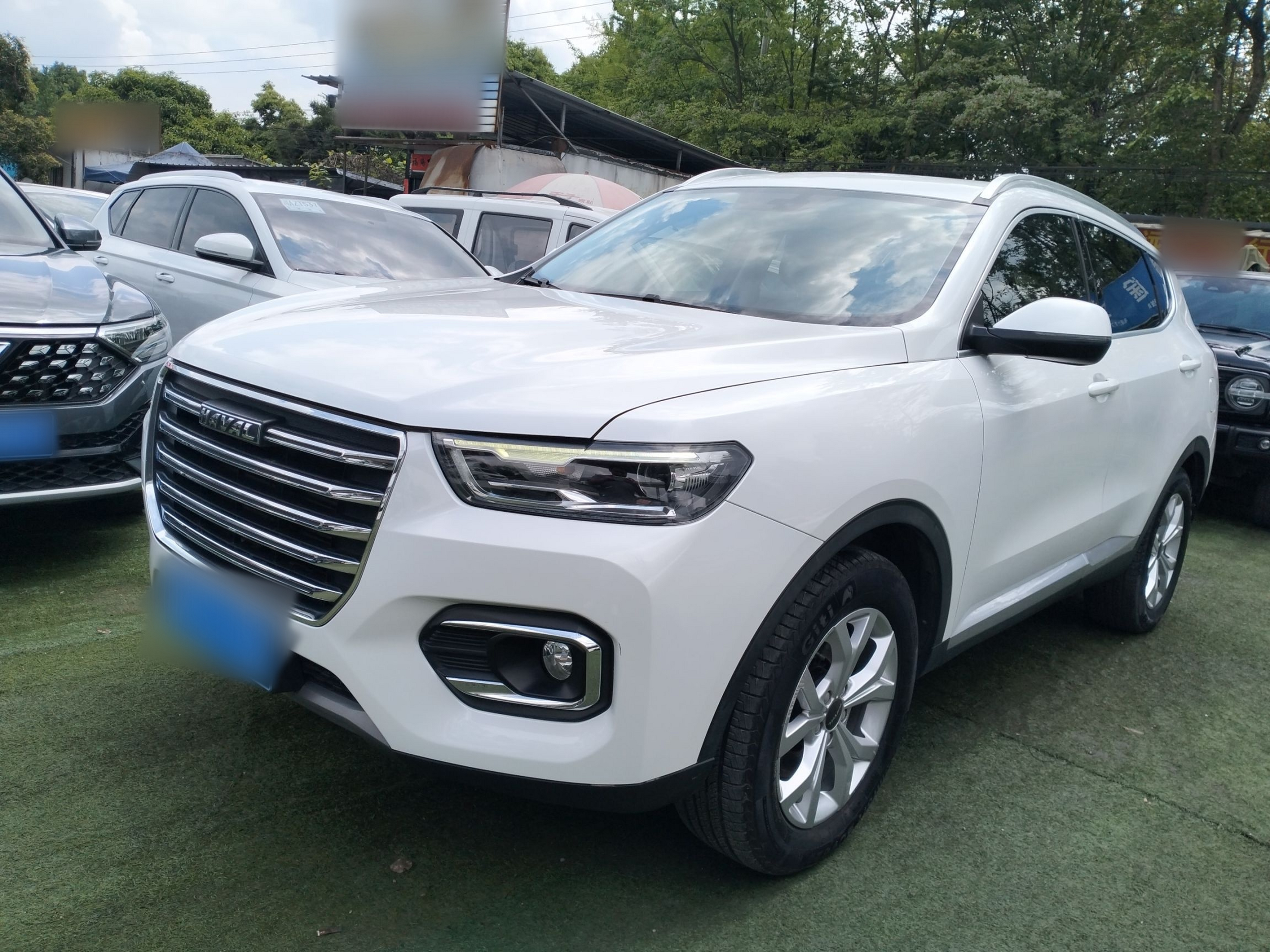 Parte inferior delantera