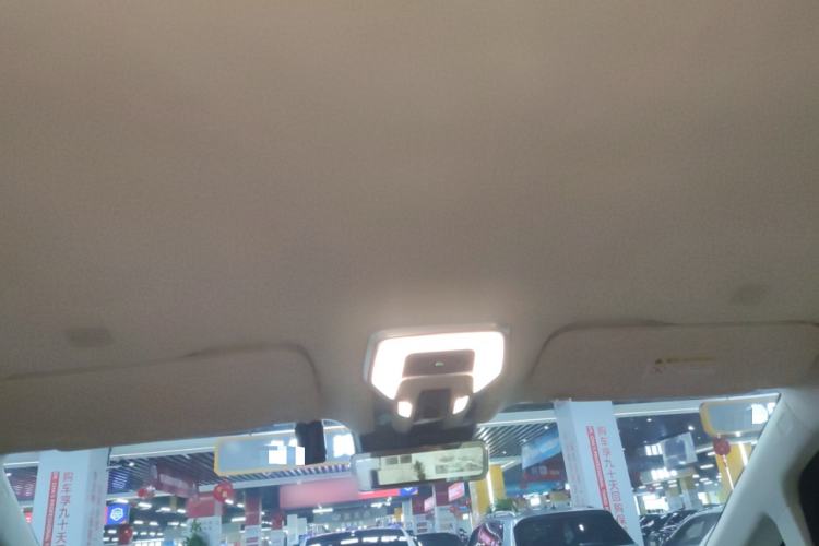 Used Hongqi HQ9 2023 2.0T Smart Connect Flagship Edition