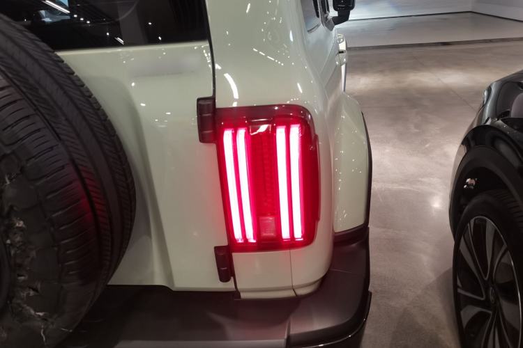 Used Tank 300 2021 City Edition 2.0T—Truly Stylish