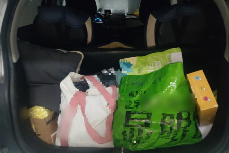 Used ORA Black Cat 2019 351 km Fun Edition
