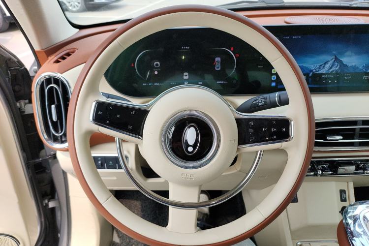 Used ORA Ballet Cat 2023 401 km Luxury Version