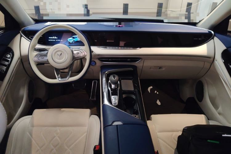 Used VOYAH FREE 2021 Four-Wheel Drive Standard Range-Extended Exclusive Luxury Package Center Console