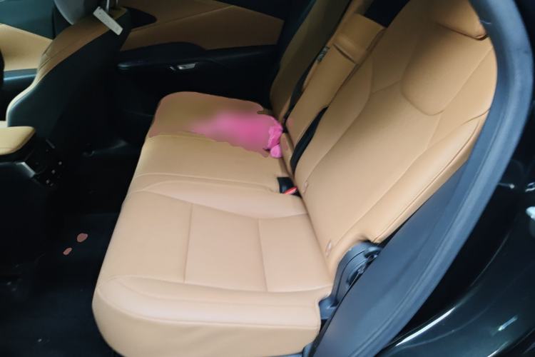 Used Lexus RX New Energy 2023 450h+ Four-Wheel Drive Enjoyment Edition
