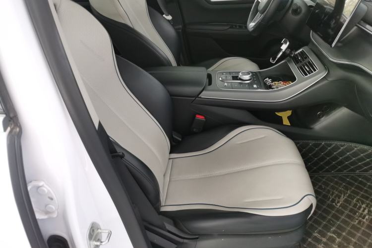 Used BYD Destroyer 05 2024 HONOR Edition DM-i 55KM Luxury Model Right Front Seat